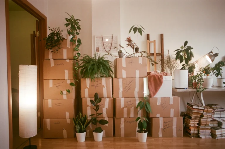 Read more about the article How to Find the Best Removal Companies Northampton Services Near You
